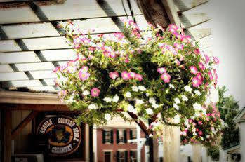 Bed and breakfast Village 2*