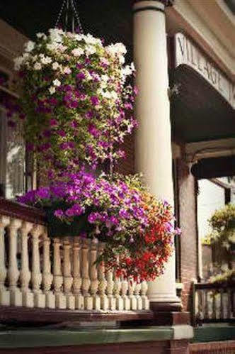 Village Bed and breakfast